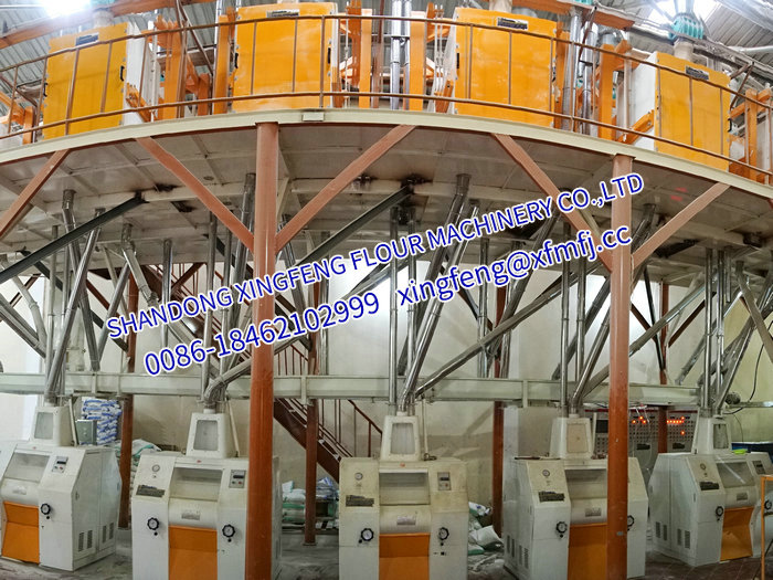 1.3 非洲坦桑尼亞60T 24h玉米粉生產線.jpg