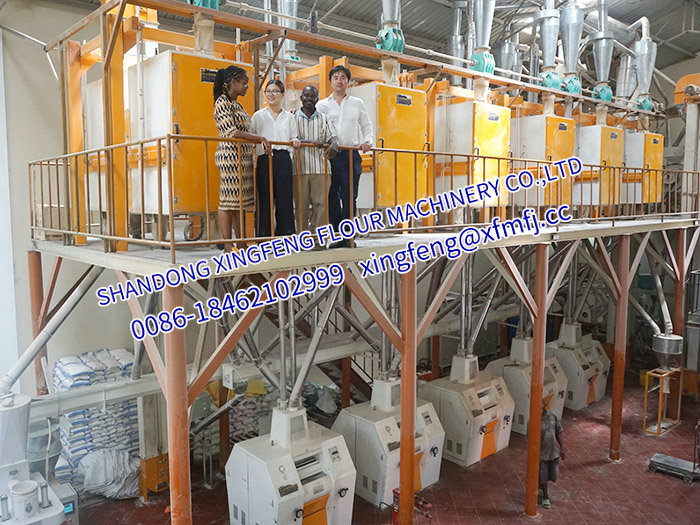 非洲客戶案例-60T 24h玉米粉生產線.jpg