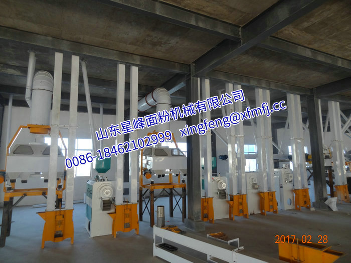 4.1 云南麗江 100T 24h玉米糝（粉）生產線.JPG