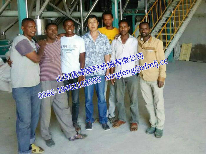 20-60T豆類脫皮、拋光、制仁、制粉成套設備