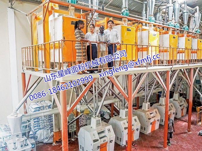 2015面粉廠社會實踐報告精選