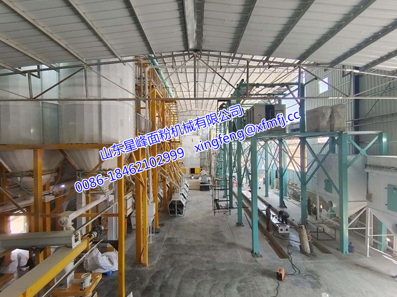 24噸小麥加工設(shè)備