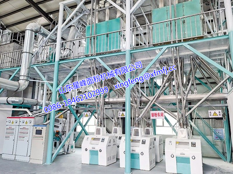 60-80噸小麥加工設備