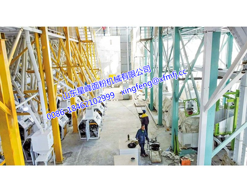 300噸小麥面粉生產線