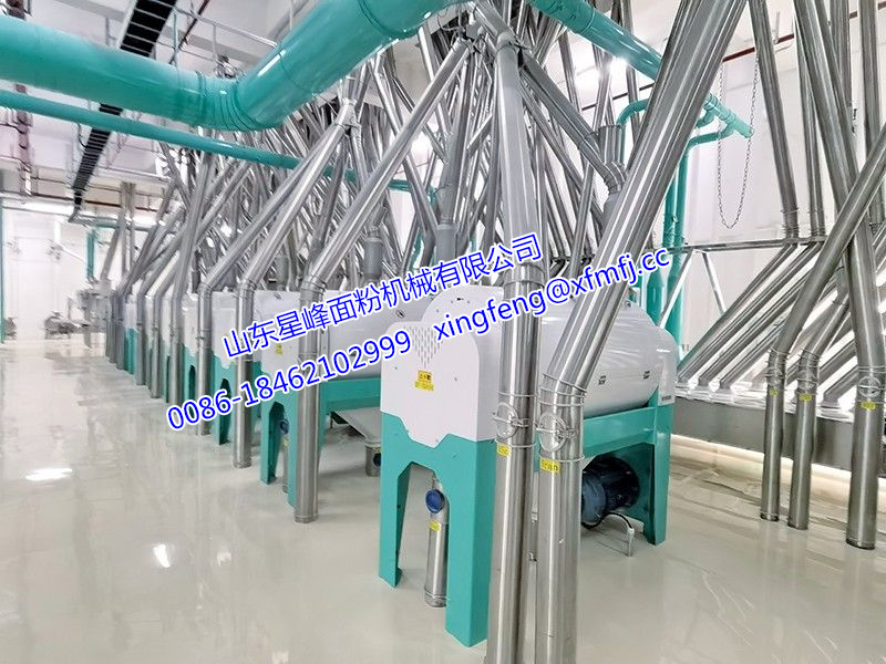 500-1000噸小麥面粉生產線