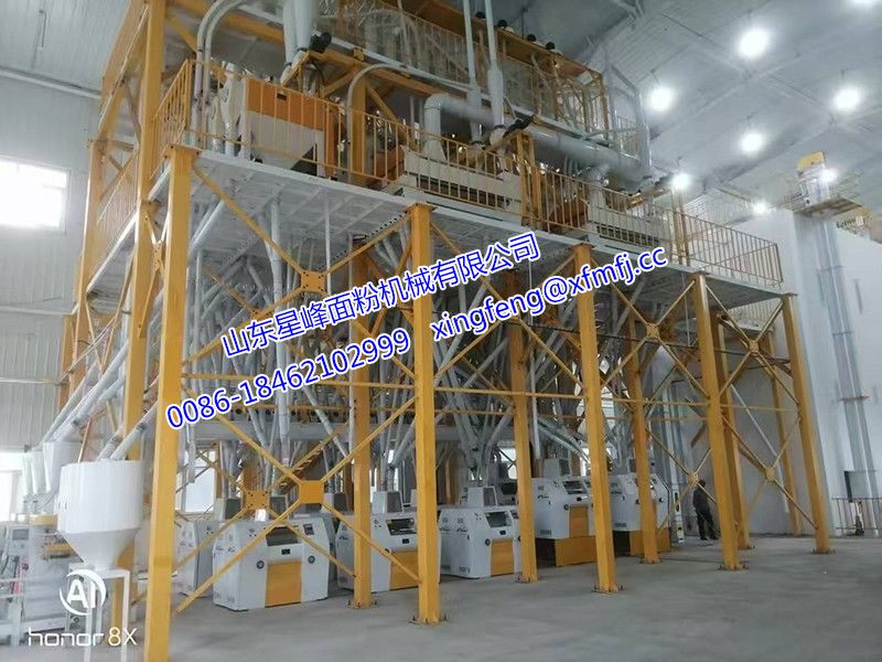 500噸小麥面粉加工設備