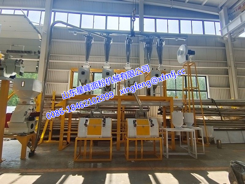 10T玉米制粉設備