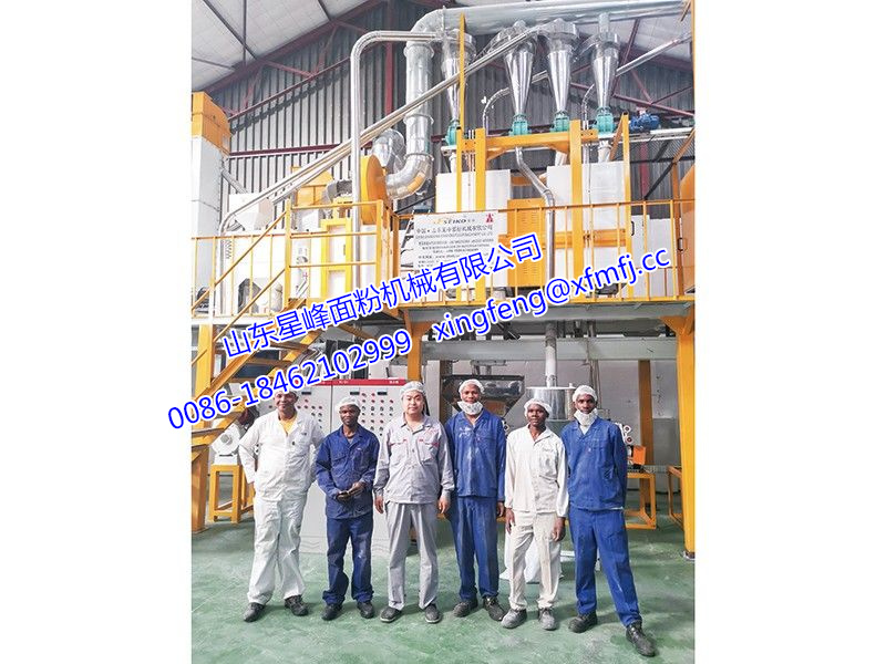 42T 玉米成套設備