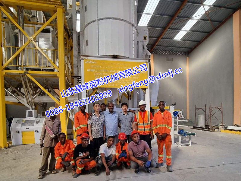 60-120T非洲玉米粉生產線