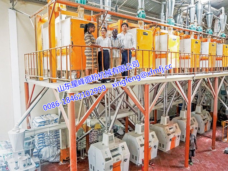 非洲客戶案例-40-52T/24h玉米粉生產(chǎn)線