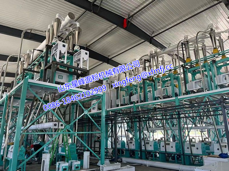 面粉廠社會實踐報告精選