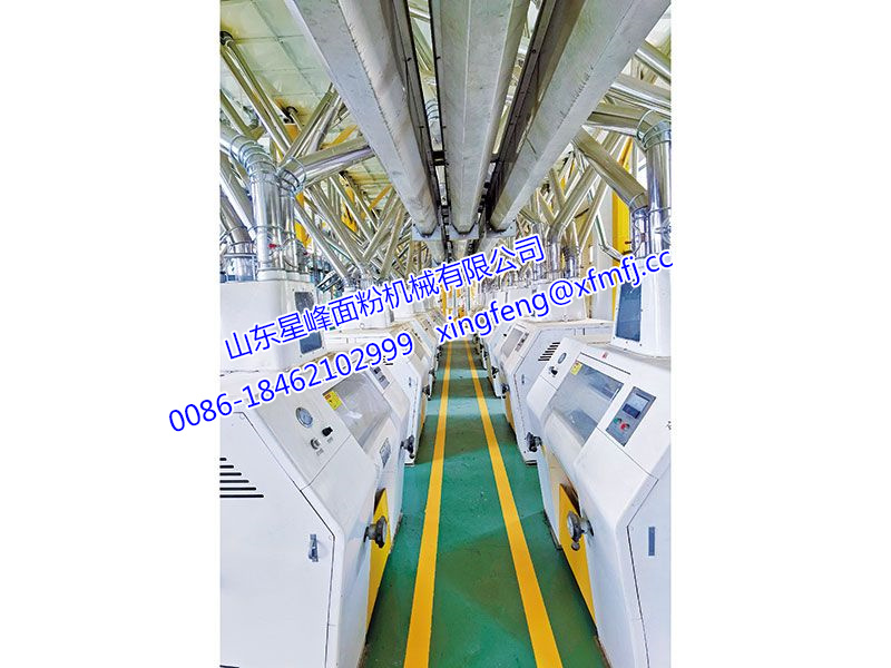 小麥粉加工設備